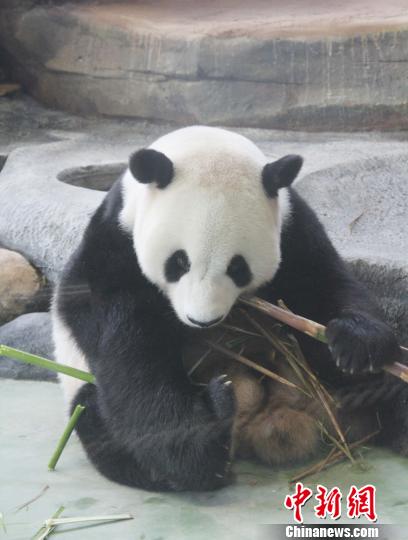 D顰աڳ z