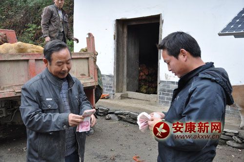 嵐皋縣藺河鎮(zhèn)魔芋種植大戶劉濤喜笑顏開賣魔芋.jpg