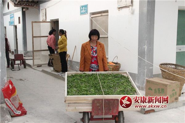 Qr簴ƱIȡQNСQρQٝ^ (2).jpg