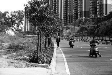 西安東長(zhǎng)安街雙向六車道城市路 為啥沒人行道