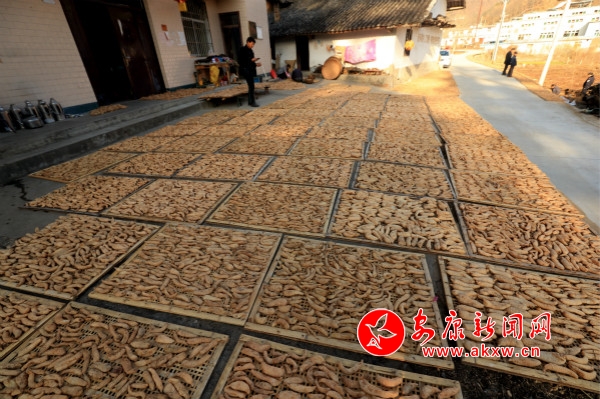 A_(ki)ԼN߀ոȺNֲ飬(dng)ȺÓؚ¸_meitu_2.jpg