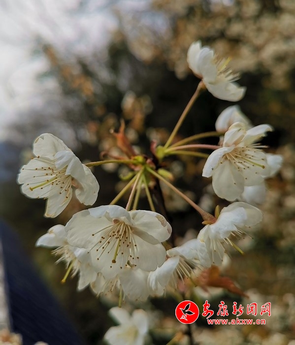 微信圖片_20190311165609.jpg
