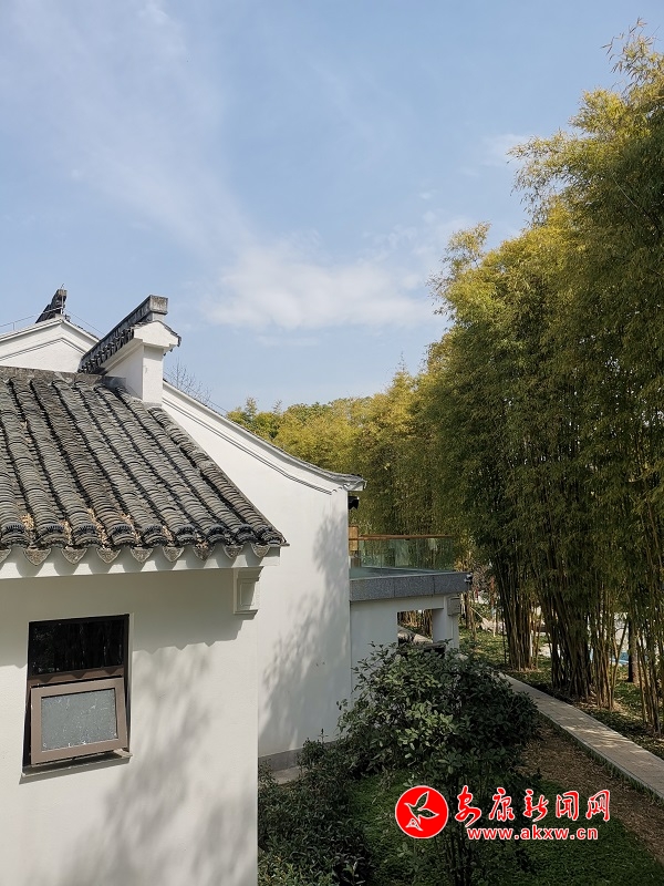 微信圖片_20190311165840.jpg