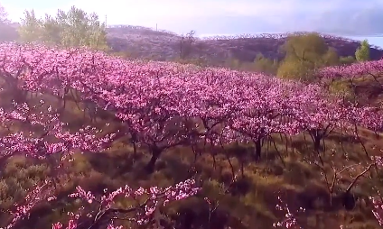 白河縣第四屆文化旅游節(jié)