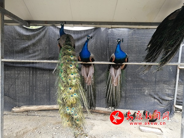 微信圖片_20190422154647.jpg