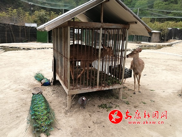 微信圖片_20190422154653.jpg