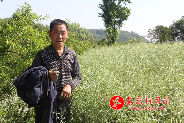 67qďFeͲfȥµ600߀uԼ̓̤