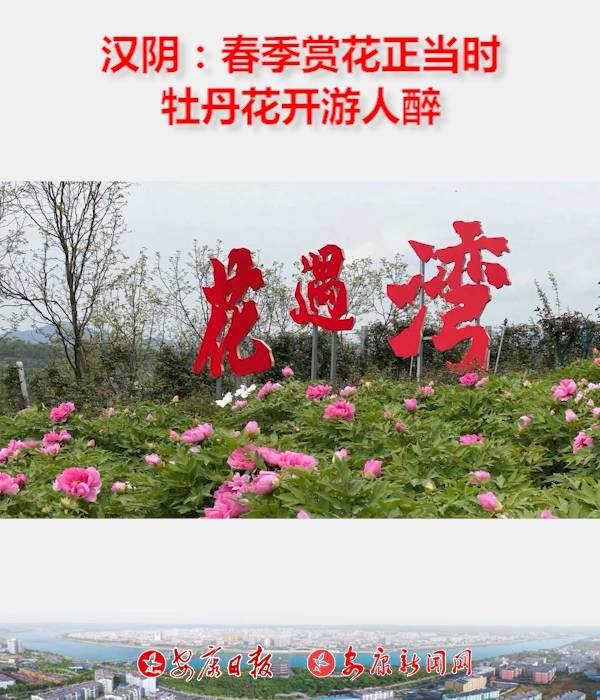 hꎿhP(zhn)һ廨ĵ@10fĵѸ_