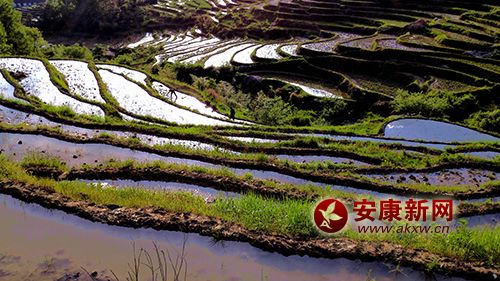 谷雨正當(dāng)時(shí)